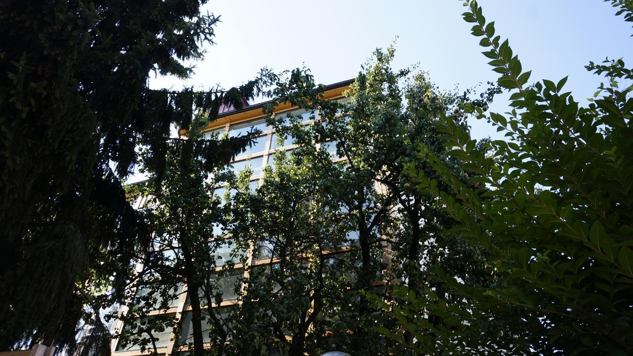 Residence Meljska Марибор Экстерьер фото